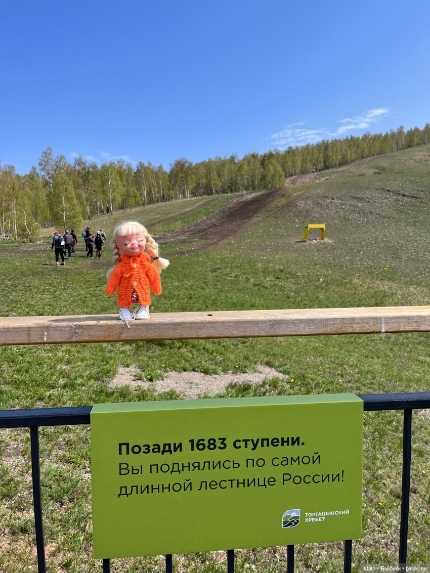 Мы это сделали — Игровые куклы разных производителей (Разное): редкие бренды