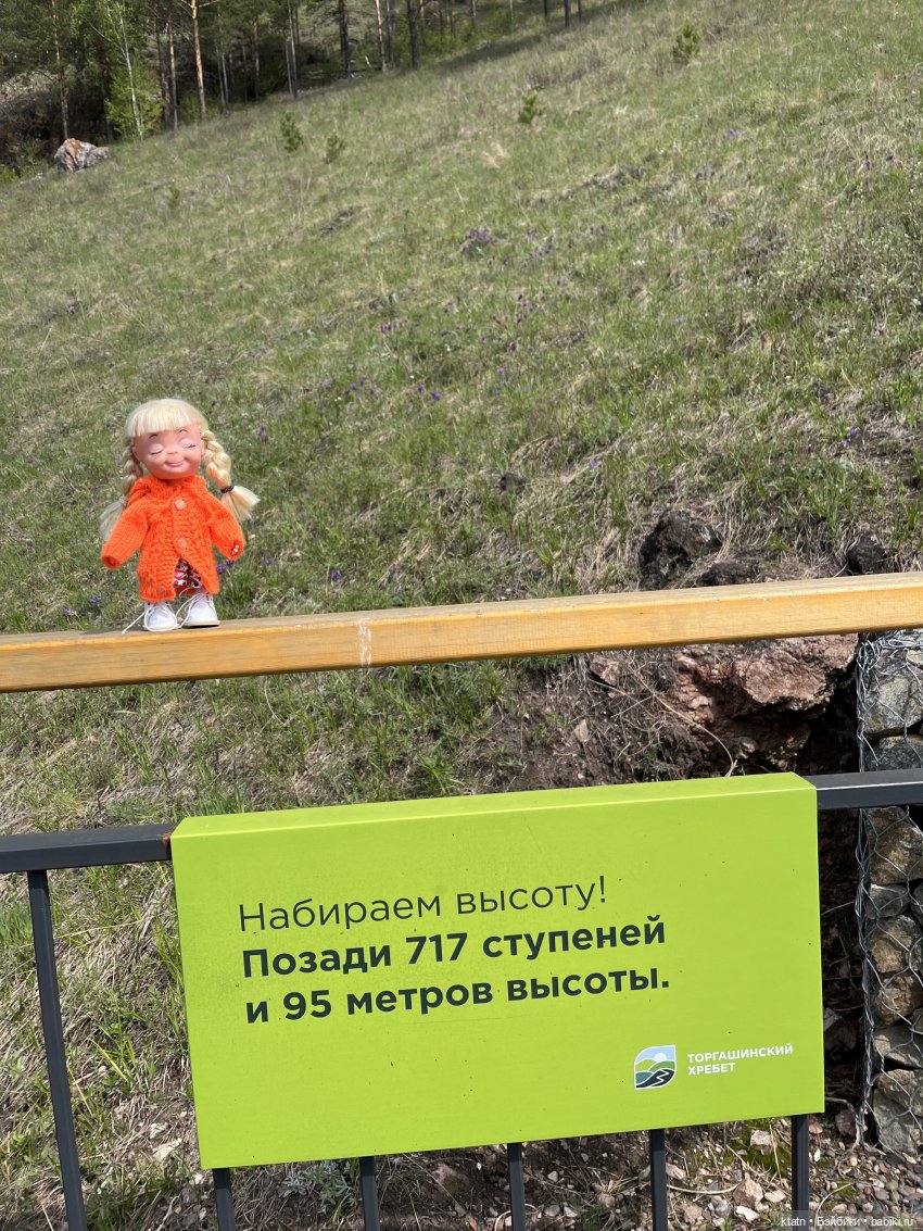 Мы это сделали — Игровые куклы разных производителей (Разное): редкие бренды