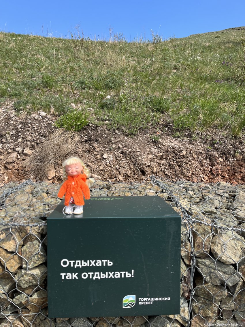 Мы это сделали — Игровые куклы разных производителей (Разное): редкие бренды