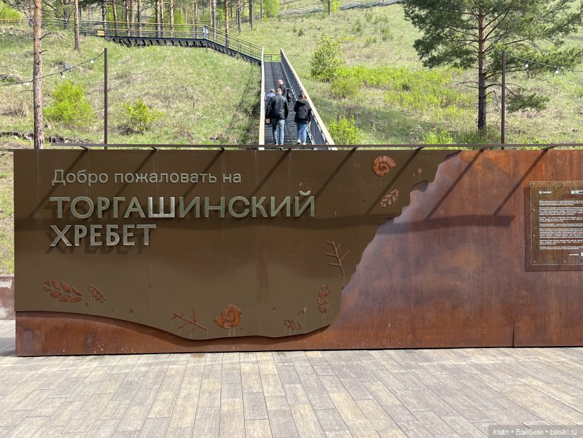 Мы это сделали — Игровые куклы разных производителей (Разное): редкие бренды (фото 2)