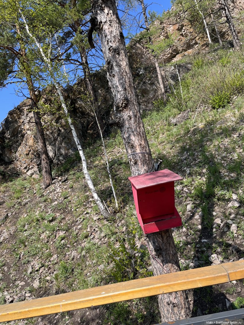 Мы это сделали — Игровые куклы разных производителей (Разное): редкие бренды