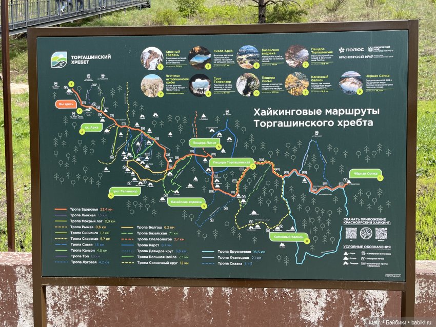 Мы это сделали — Игровые куклы разных производителей (Разное): редкие бренды (фото 3)