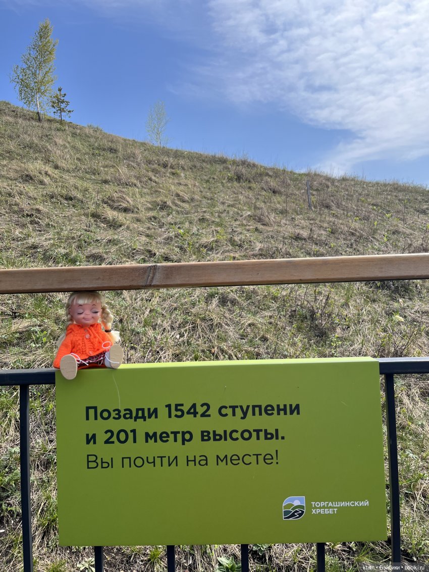 Мы это сделали — Игровые куклы разных производителей (Разное): редкие бренды