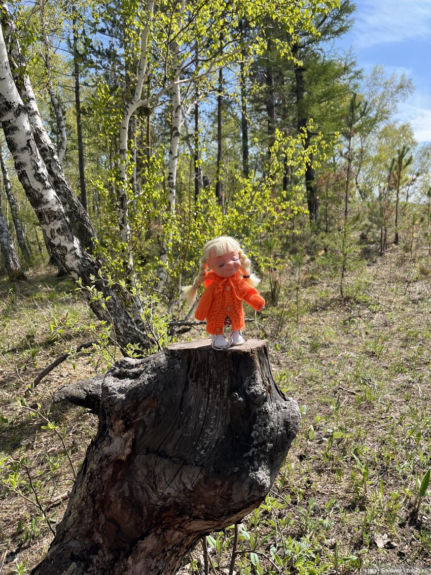 Мы это сделали — Игровые куклы разных производителей (Разное): редкие бренды