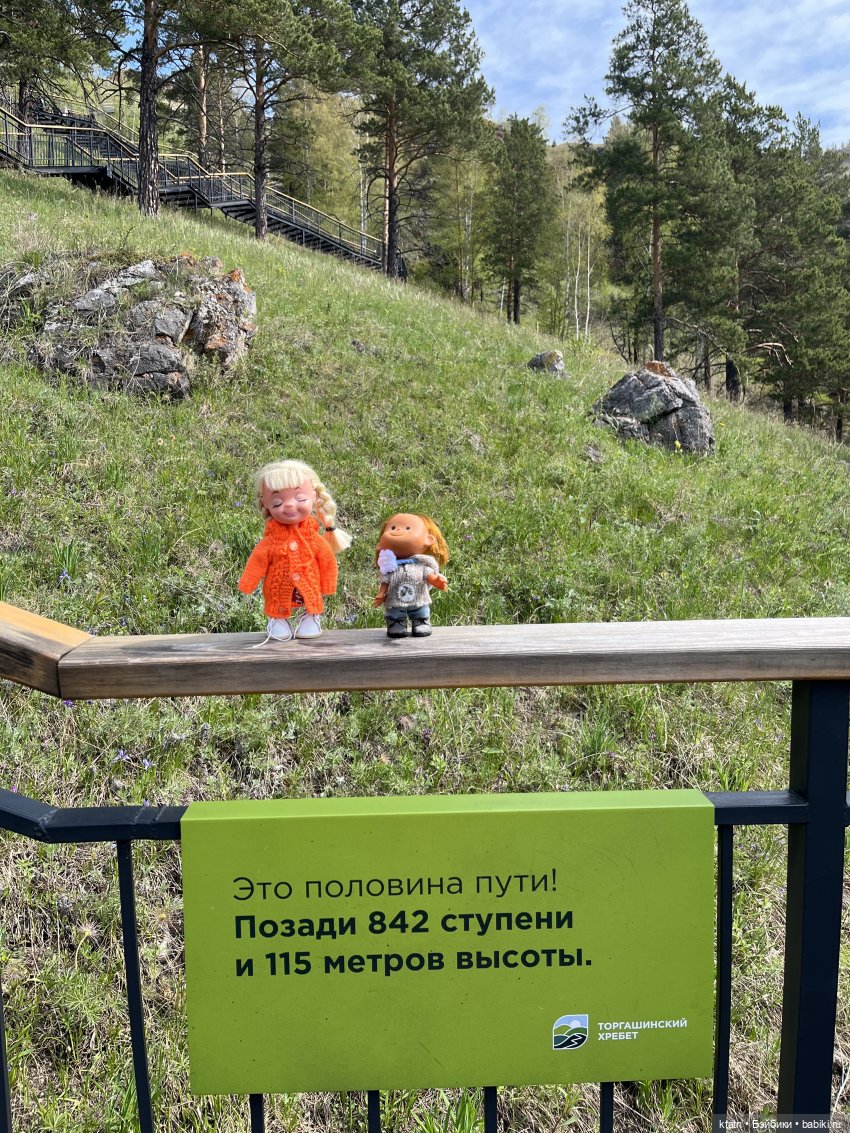 Мы это сделали — Игровые куклы разных производителей (Разное): редкие бренды