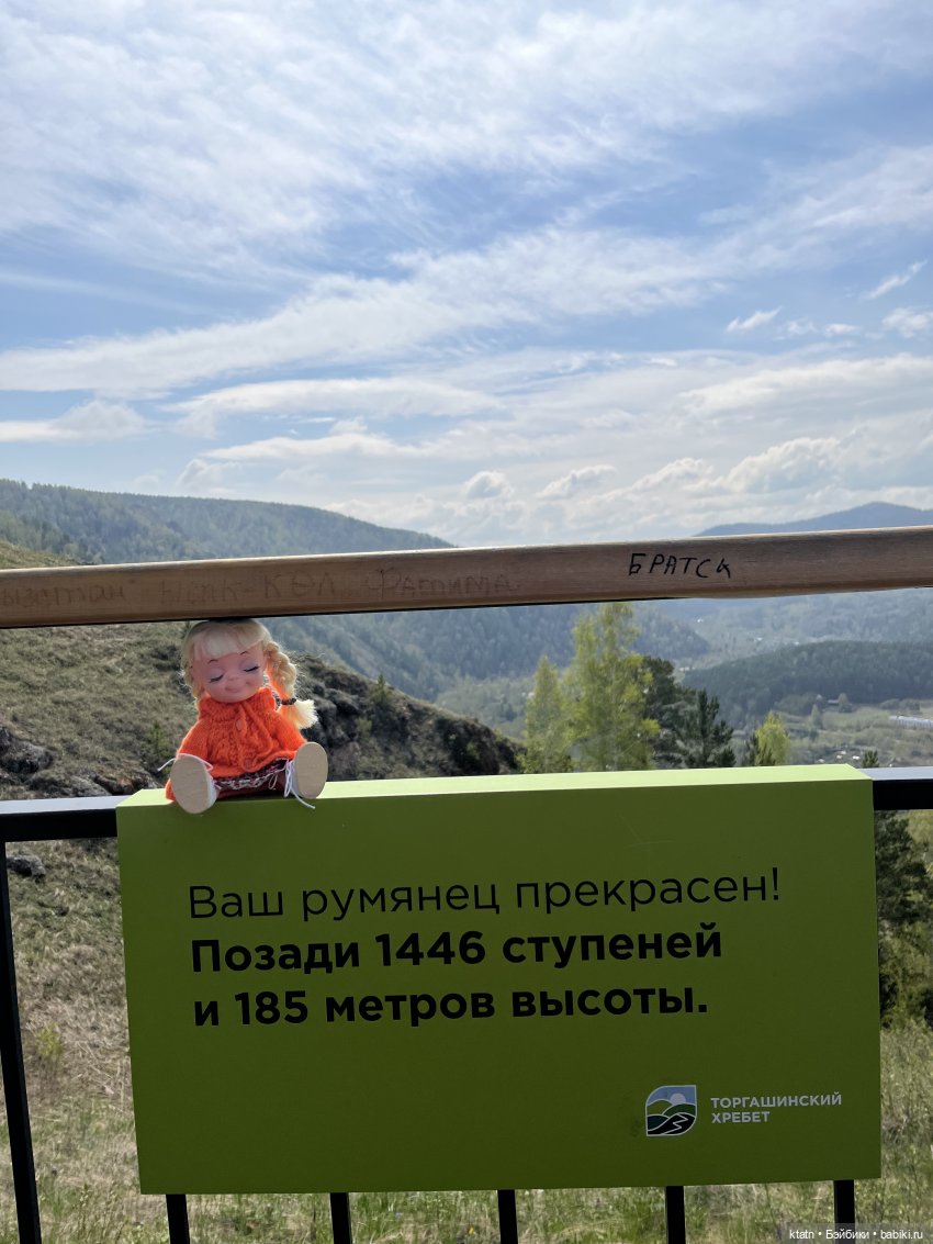 Мы это сделали — Игровые куклы разных производителей (Разное): редкие бренды