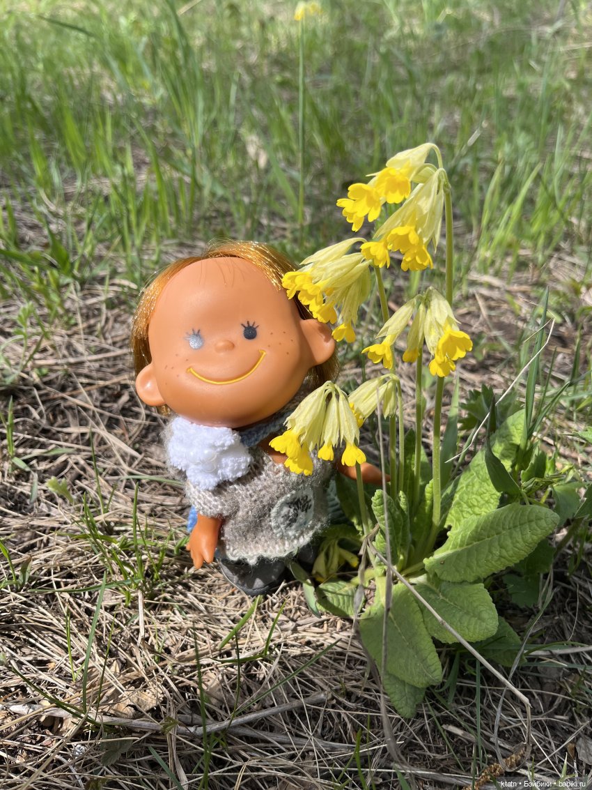 Мы это сделали — Игровые куклы разных производителей (Разное): редкие бренды