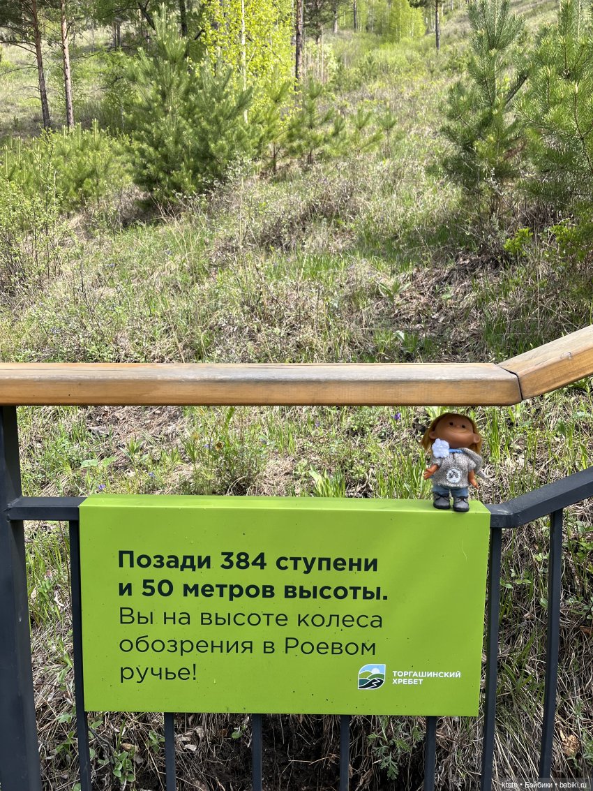 Мы это сделали — Игровые куклы разных производителей (Разное): редкие бренды (фото 9)