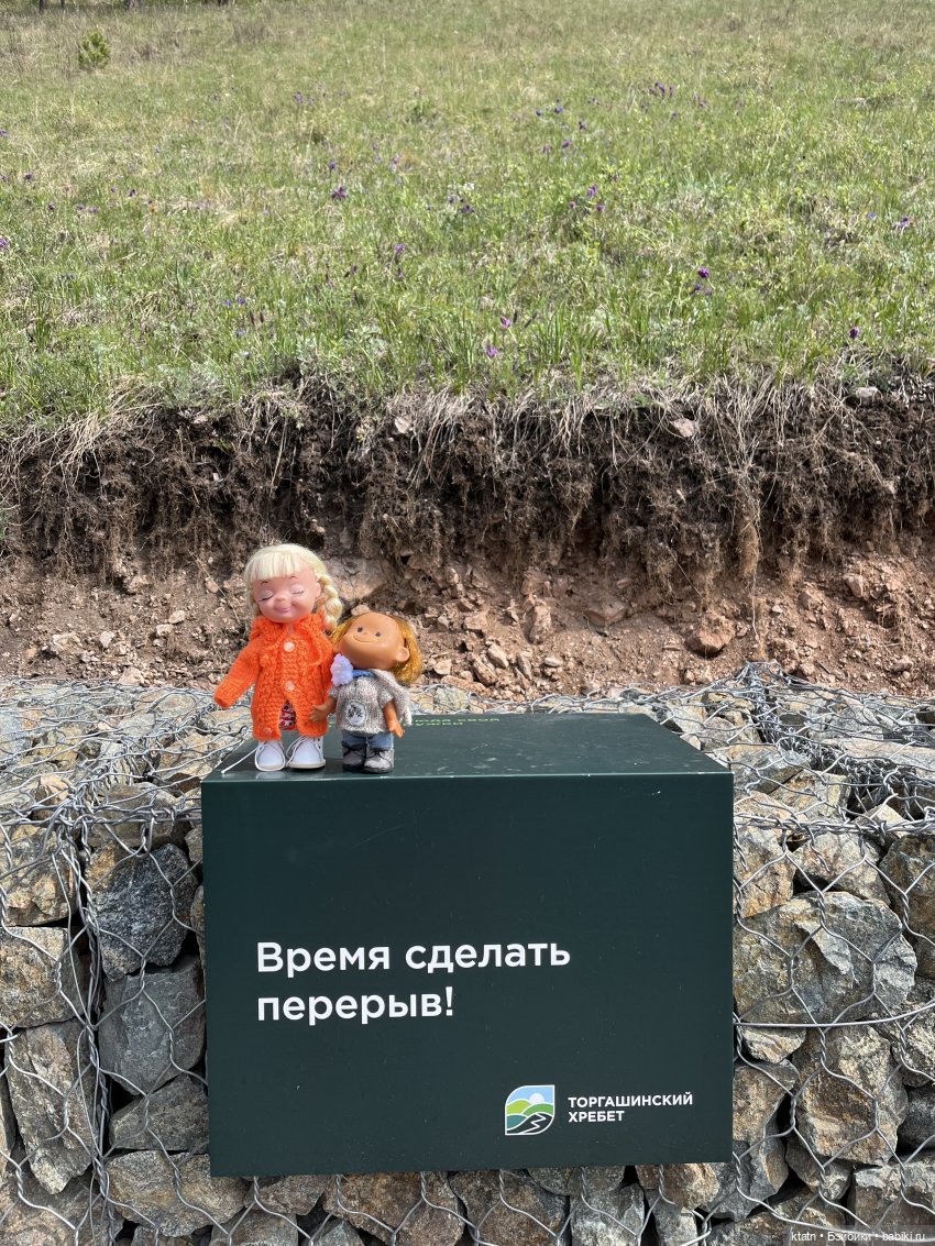 Мы это сделали — Игровые куклы разных производителей (Разное): редкие бренды