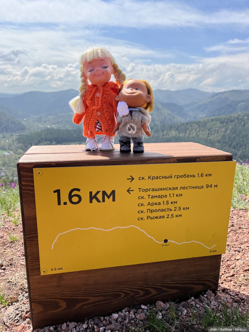 Мы это сделали — Игровые куклы разных производителей (Разное): редкие бренды