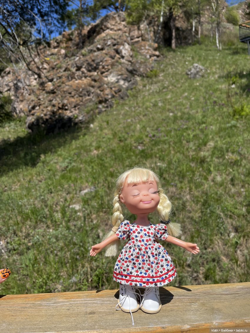 Мы это сделали — Игровые куклы разных производителей (Разное): редкие бренды