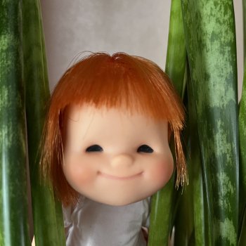 С кем приехала Варька Горошкина?