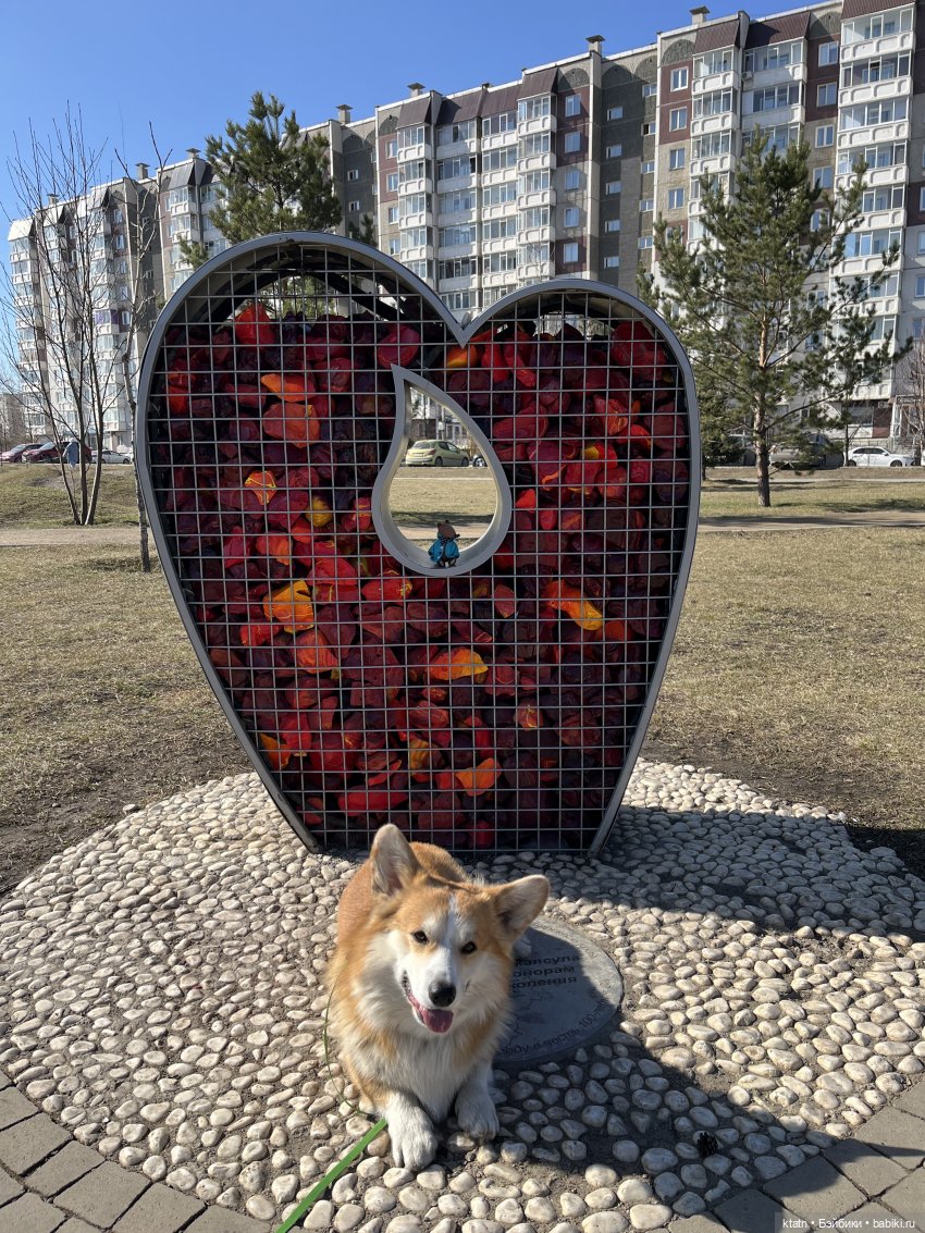 За три дня, за три дня он добрался до меня