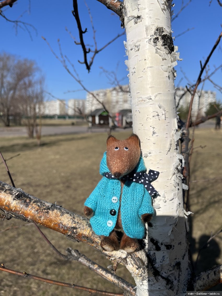 За три дня, за три дня он добрался до меня (фото 5)