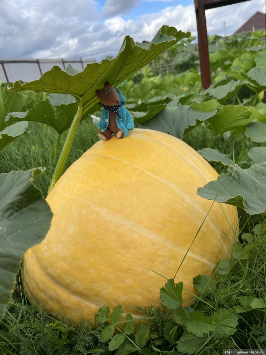 Мои малыши- любимыши и Варька деревенщина (фото 3)