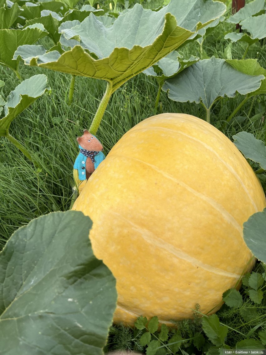 Мои малыши- любимыши и Варька деревенщина (фото 7)