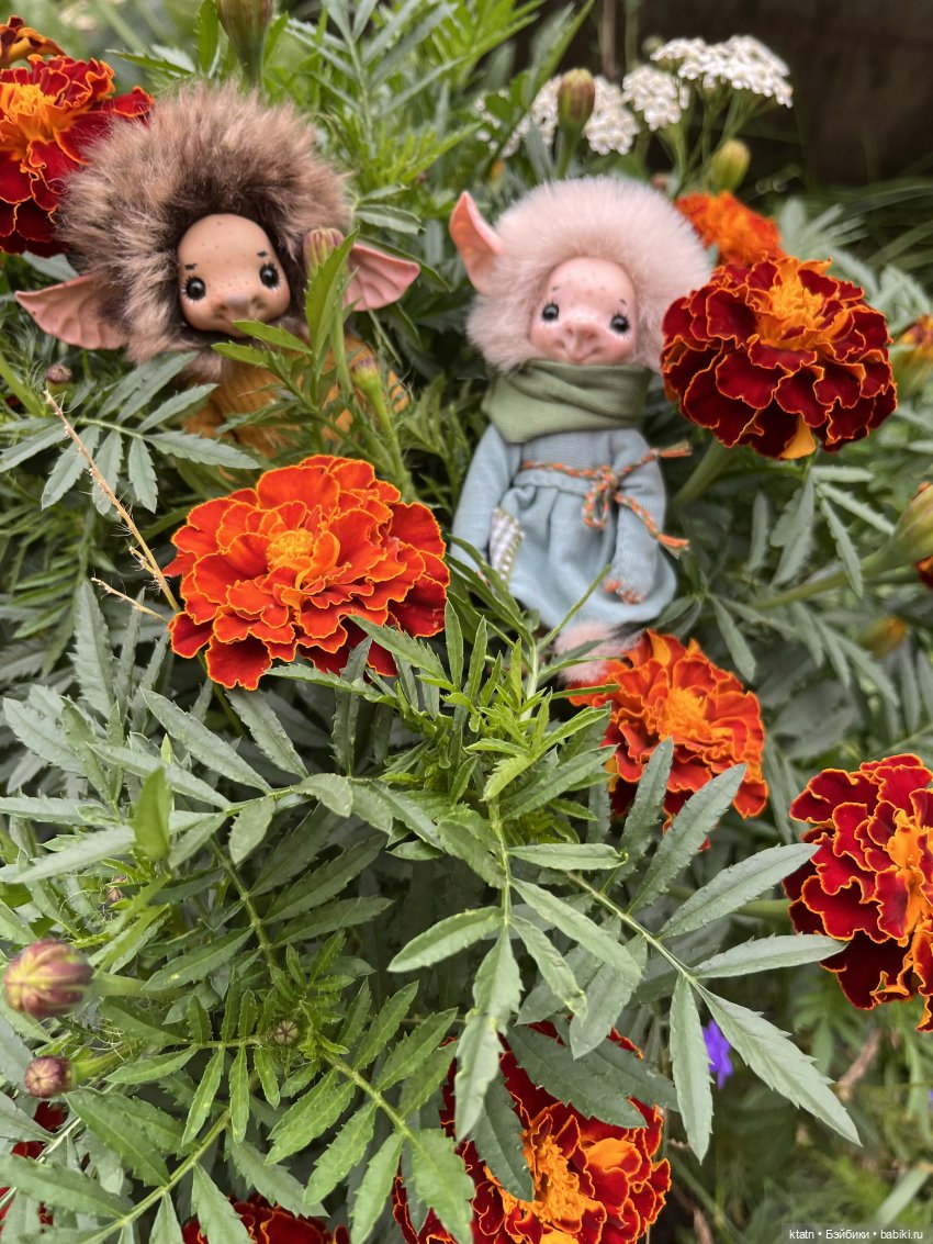 Мои малыши- любимыши и Варька деревенщина (фото 5)