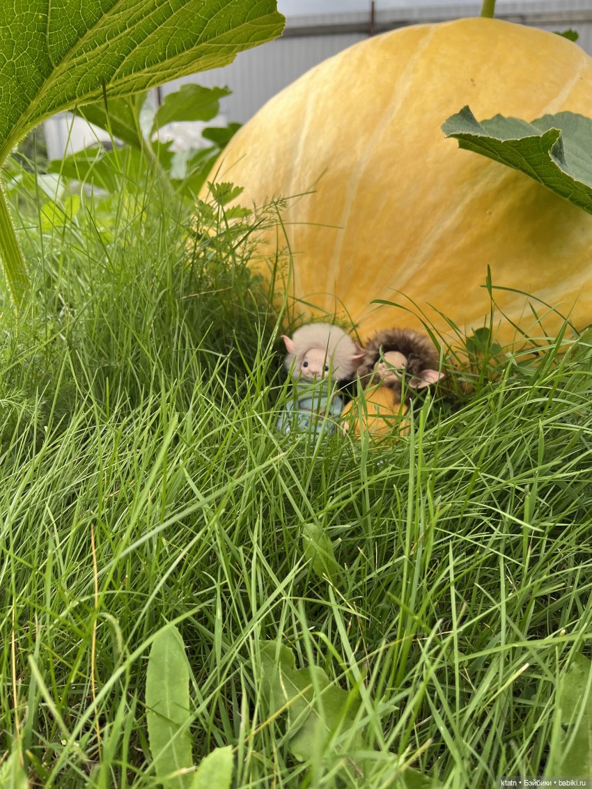 Мои малыши- любимыши и Варька деревенщина (фото 2)