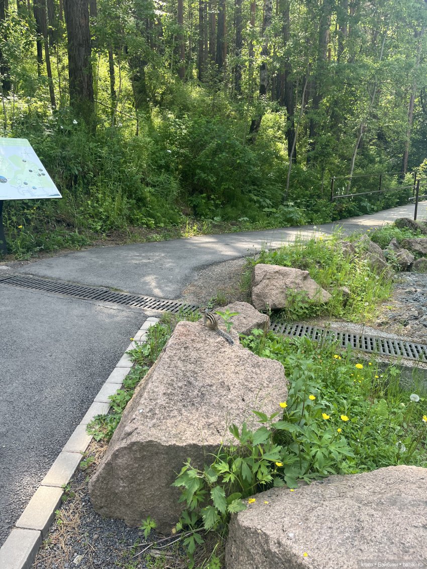 «Покорители гор» или первый раз в заповеднике «Красноярские Столбы» (фото 2)