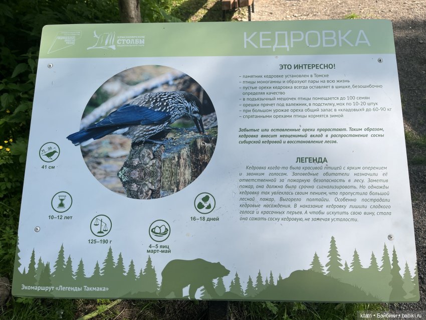 «Покорители гор» или первый раз в заповеднике «Красноярские Столбы»