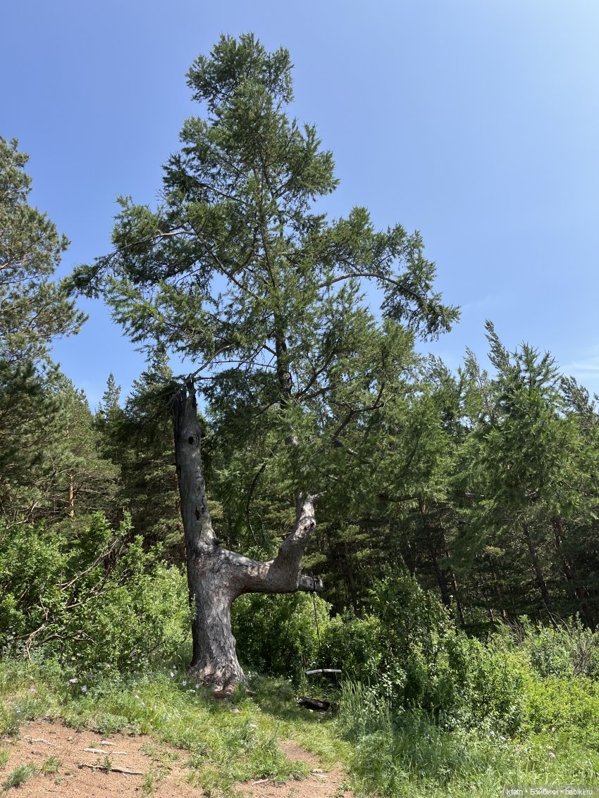 «Покорители гор» или первый раз в заповеднике «Красноярские Столбы»