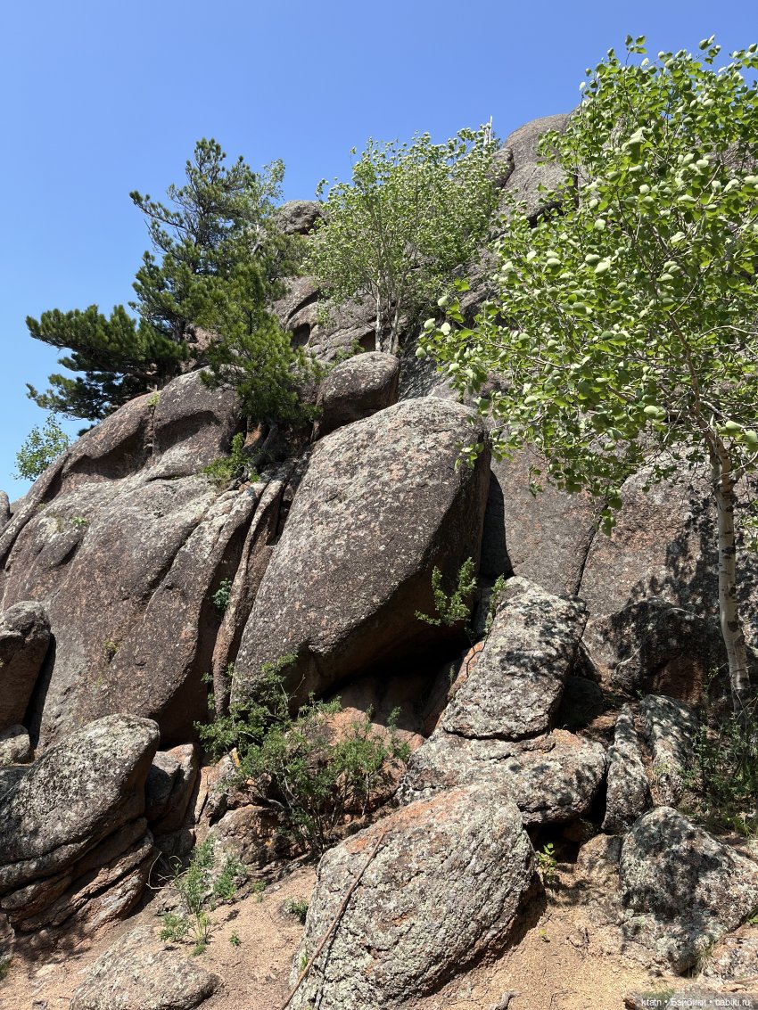 «Покорители гор» или первый раз в заповеднике «Красноярские Столбы»