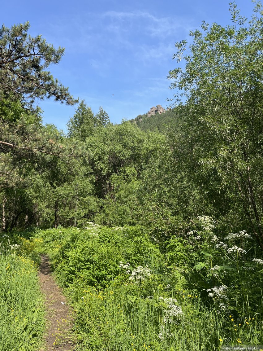 «Покорители гор» или первый раз в заповеднике «Красноярские Столбы»