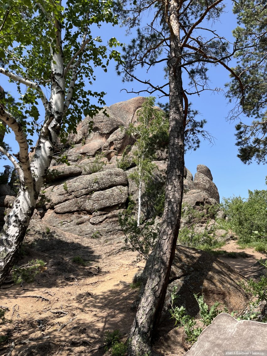 «Покорители гор» или первый раз в заповеднике «Красноярские Столбы»
