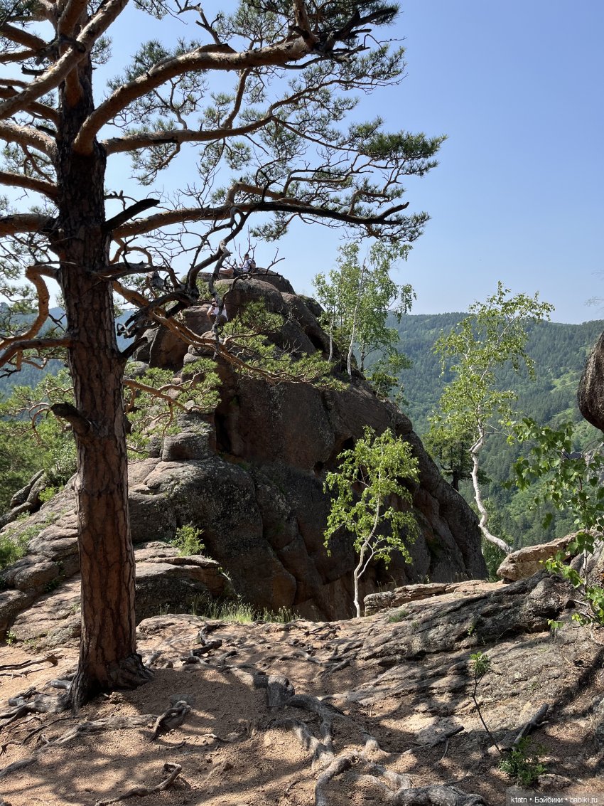 «Покорители гор» или первый раз в заповеднике «Красноярские Столбы»