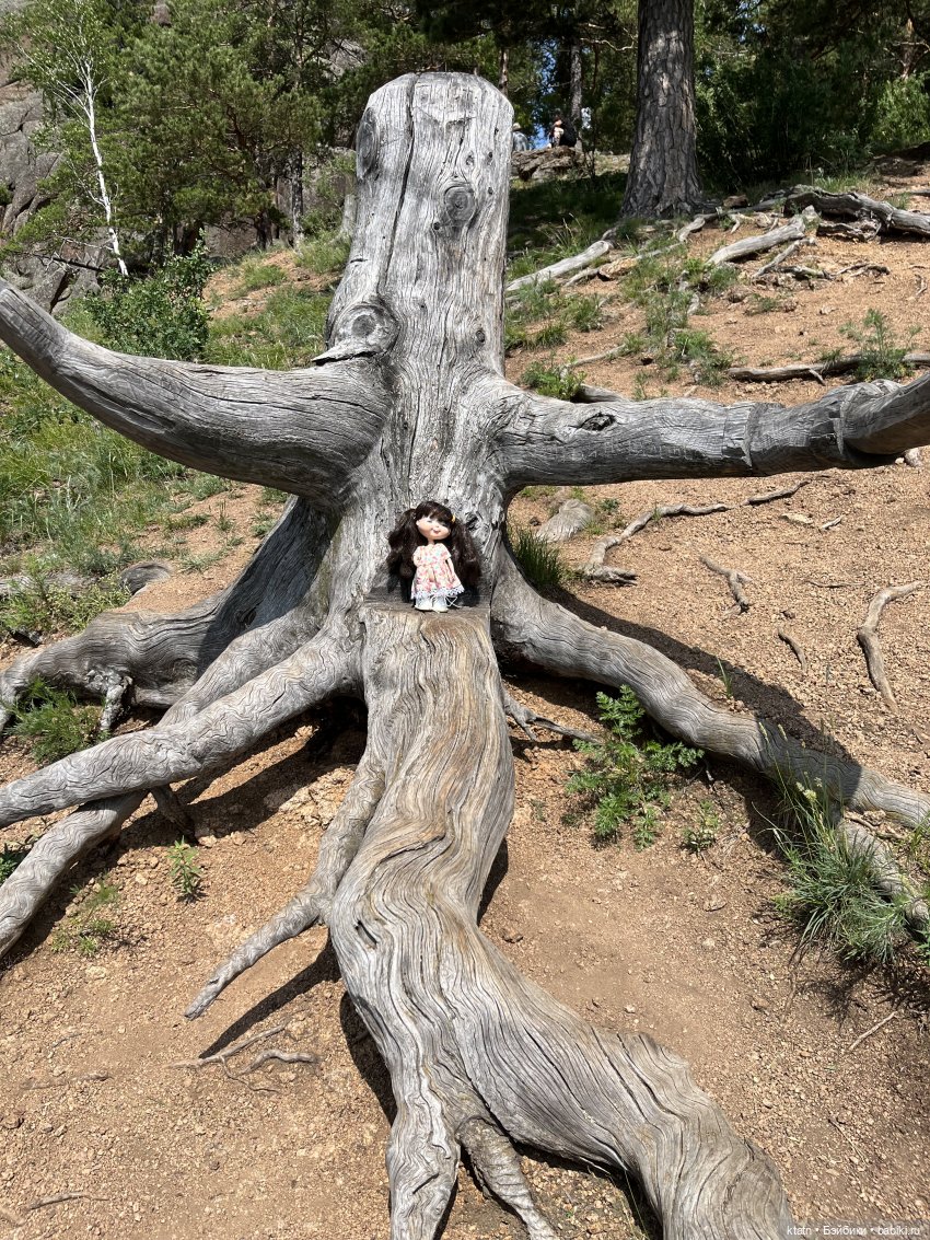 «Покорители гор» или первый раз в заповеднике «Красноярские Столбы»