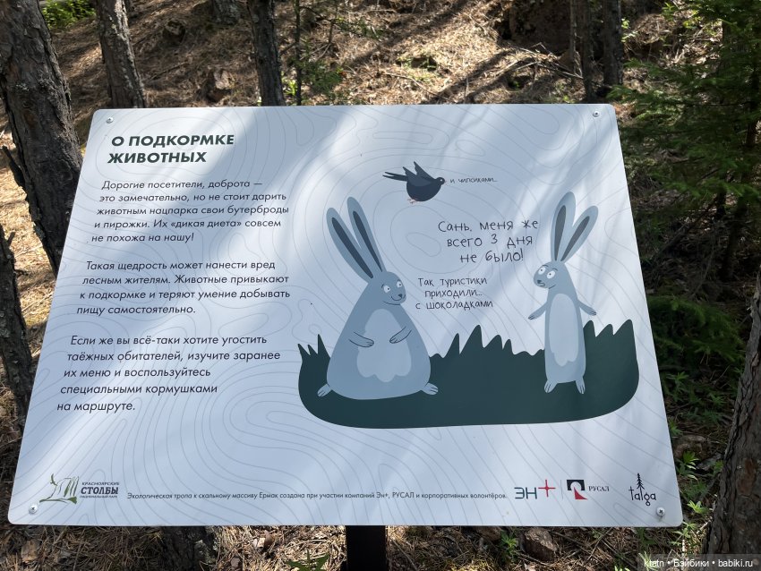 «Покорители гор» или первый раз в заповеднике «Красноярские Столбы» (фото 8)