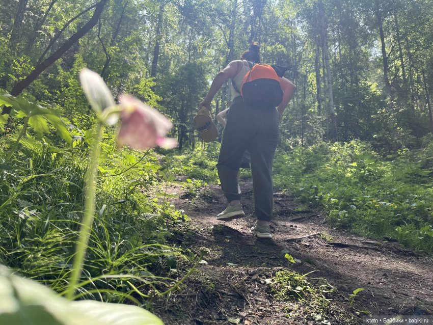 «Покорители гор» или первый раз в заповеднике «Красноярские Столбы»