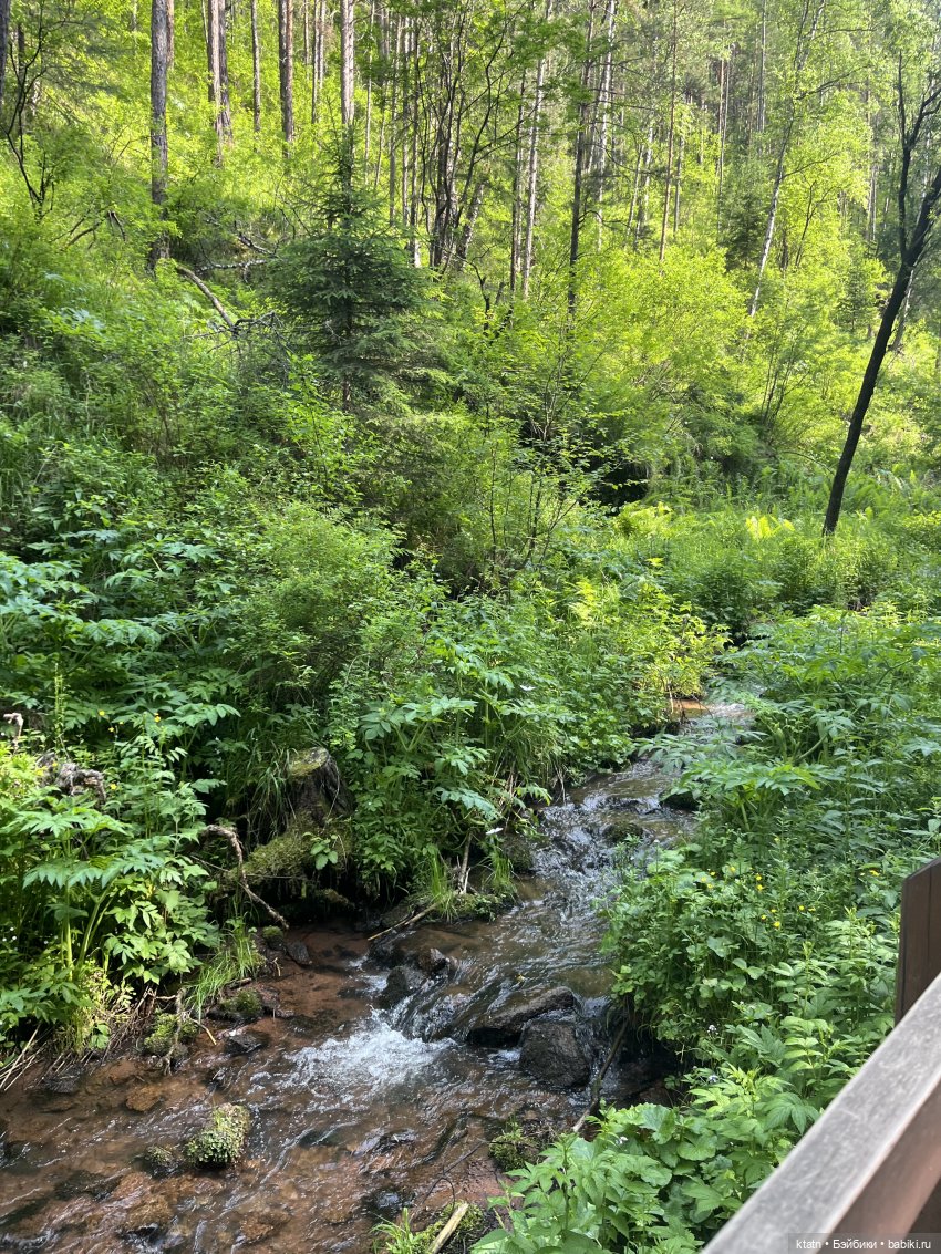 «Покорители гор» или первый раз в заповеднике «Красноярские Столбы»
