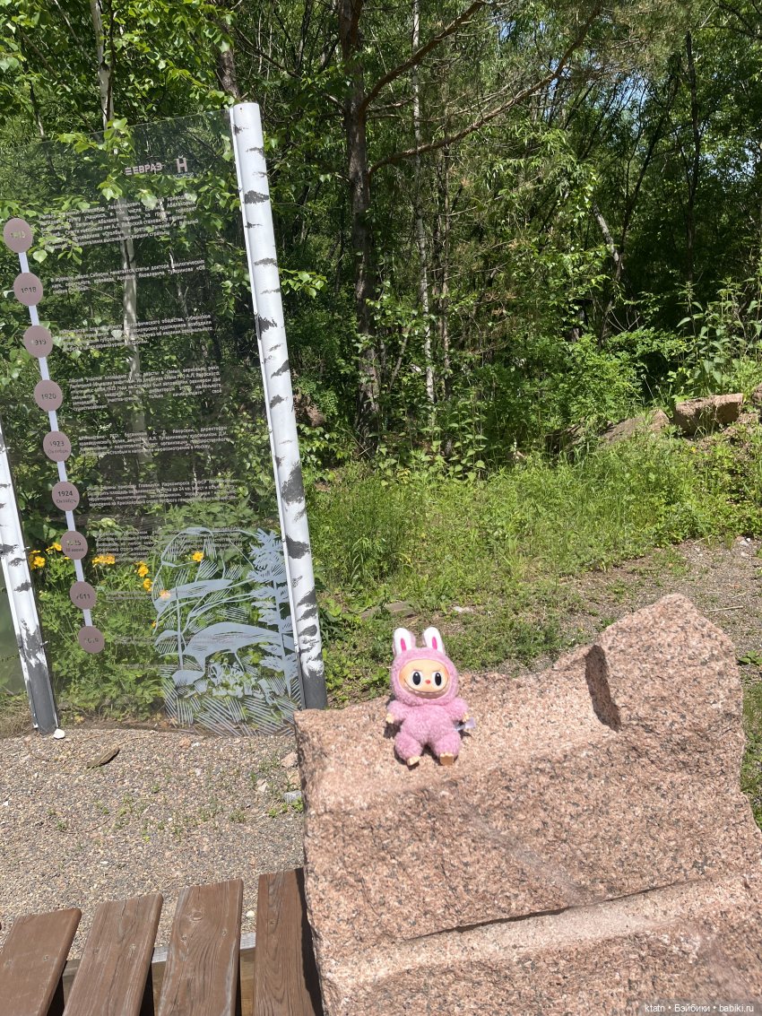 «Покорители гор» или первый раз в заповеднике «Красноярские Столбы» (фото 6)