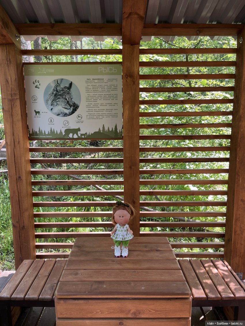 «Покорители гор» или первый раз в заповеднике «Красноярские Столбы»