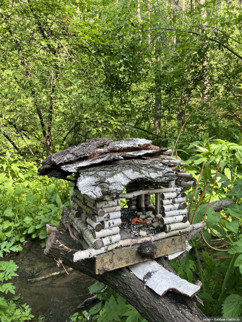 «Покорители гор» или первый раз в заповеднике «Красноярские Столбы»