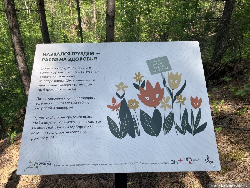 «Покорители гор» или первый раз в заповеднике «Красноярские Столбы» (фото 9)