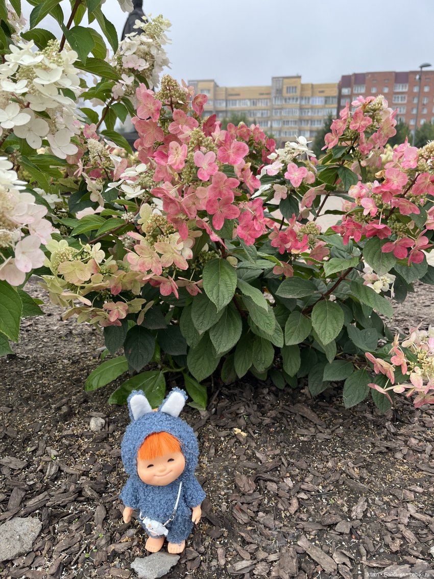 Не настоящий лабубу — Винтажные куклы ГДР (Немки): Бигги