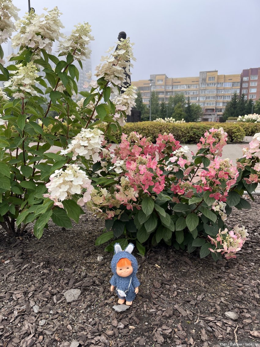 Не настоящий лабубу — Винтажные куклы ГДР (Немки): Бигги