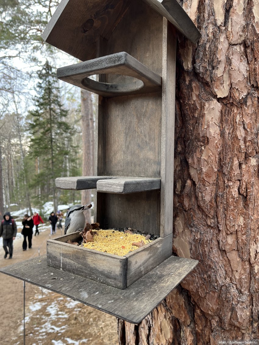 Анфиска, Чебурашка и Столбы)