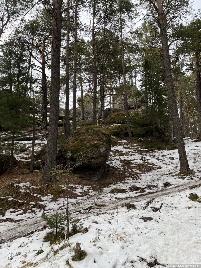 Анфиска, Чебурашка и Столбы)