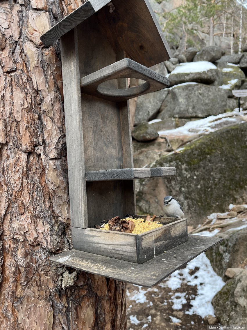 Анфиска, Чебурашка и Столбы)