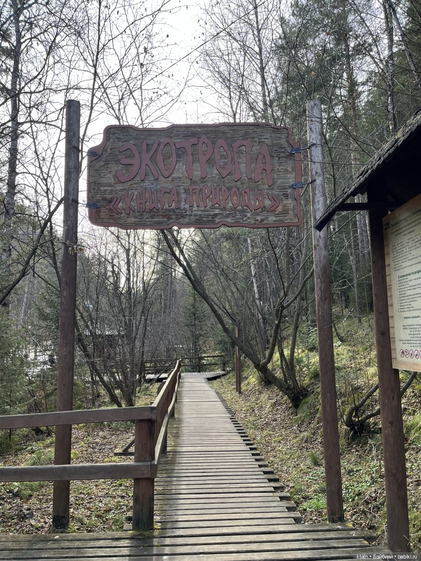 Анфиска, Чебурашка и Столбы) (фото 3)