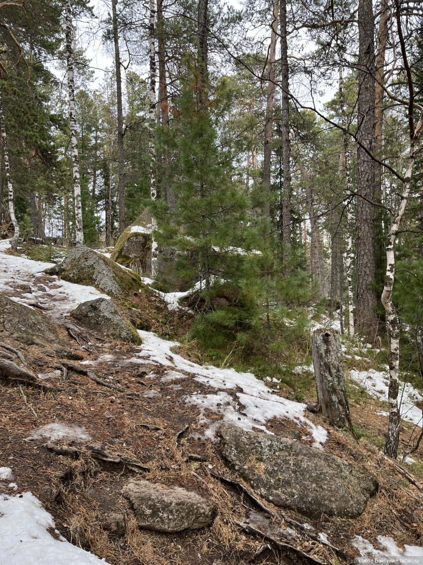 Анфиска, Чебурашка и Столбы)