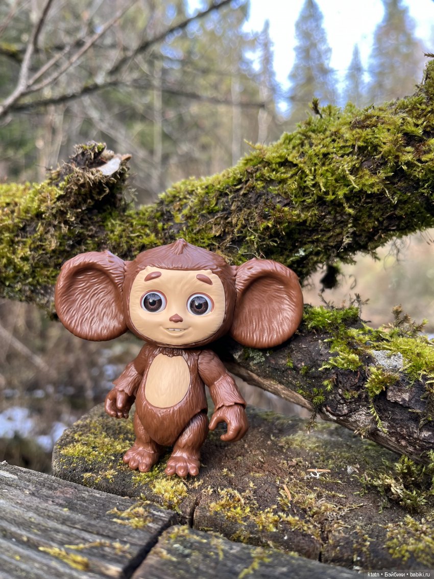 Анфиска, Чебурашка и Столбы)