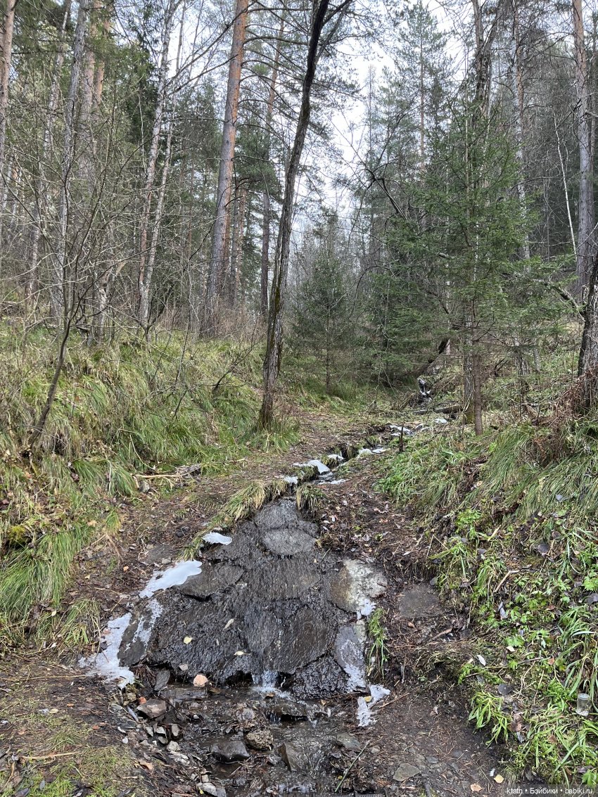 Анфиска, Чебурашка и Столбы) (фото 4)