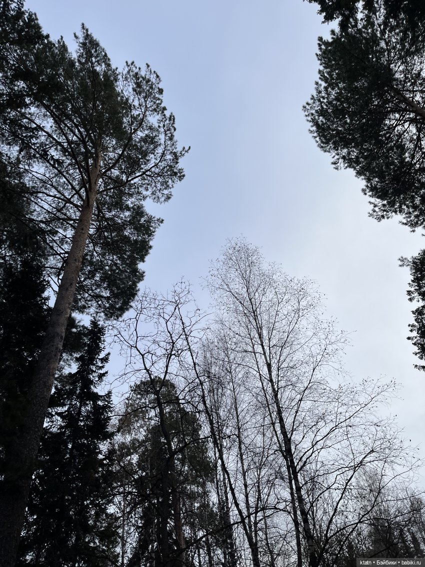 Анфиска, Чебурашка и Столбы)