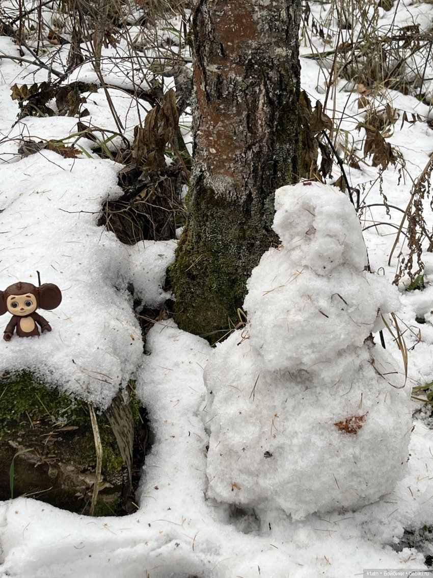 Анфиска, Чебурашка и Столбы) (фото 6)