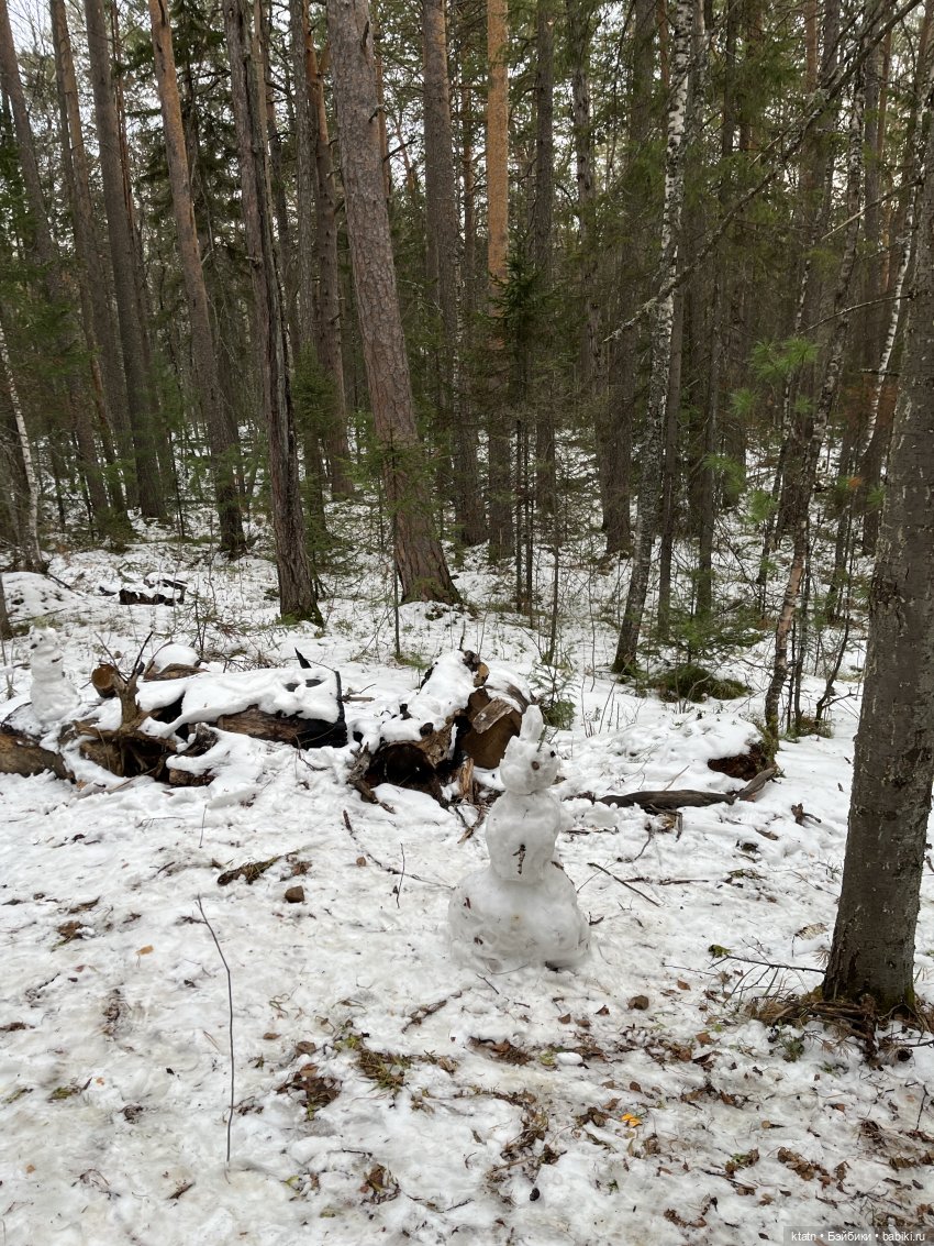 Анфиска, Чебурашка и Столбы)