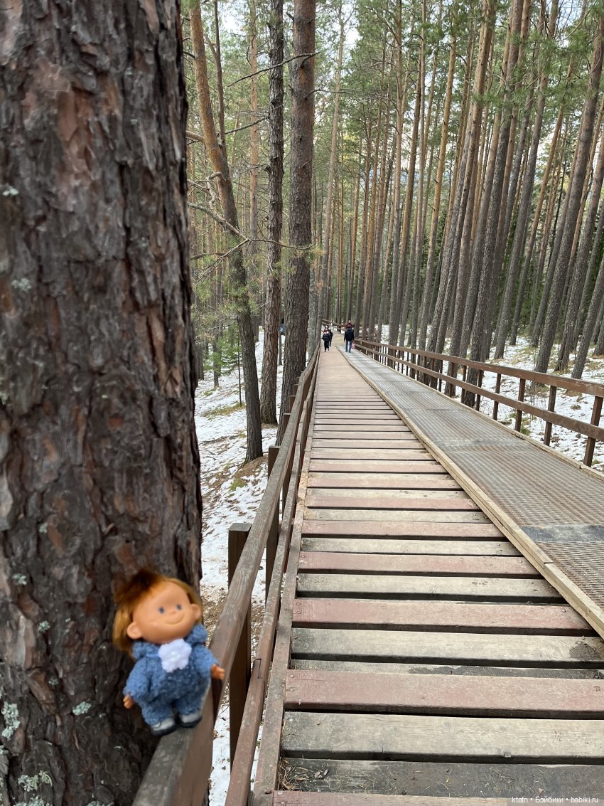 Анфиска, Чебурашка и Столбы)